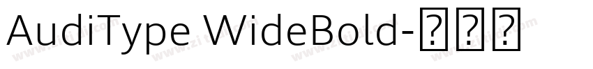 AudiType WideBold字体转换